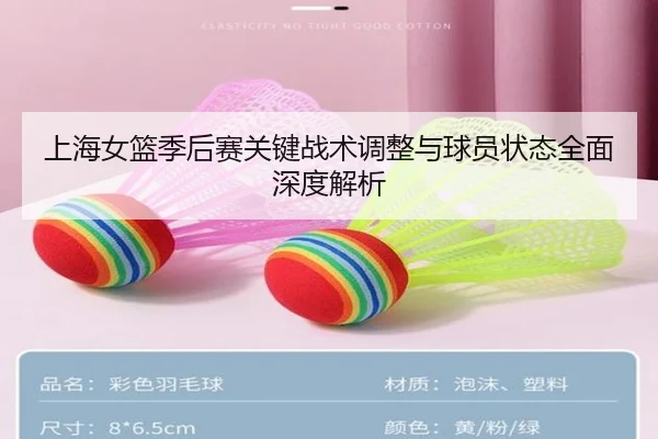 上海女篮季后赛关键战术调整与球员状态全面深度解析